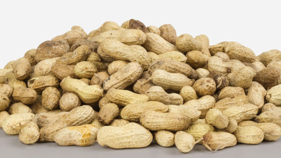 Peanut Hulls as Alternative Fuel How To Safely Manage Combustible