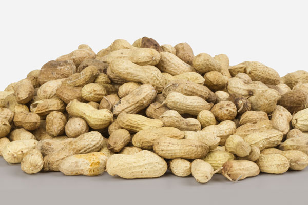 Peanut Hulls as Alternative Fuel: How To Safely Manage Combustible Biomass Dust